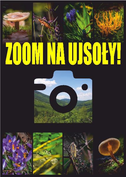 [Obrazek: plakat-foto3-1.jpg]